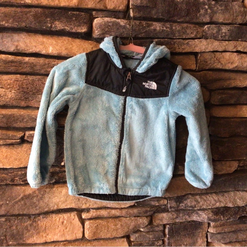 The North Face Light Blue and Black Toddler Fleece